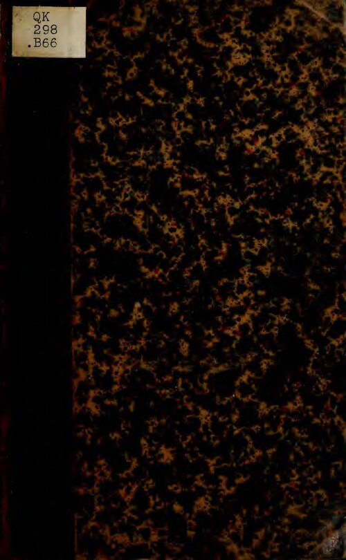 Бедренец голостебельный: выращивание, сбор и применение