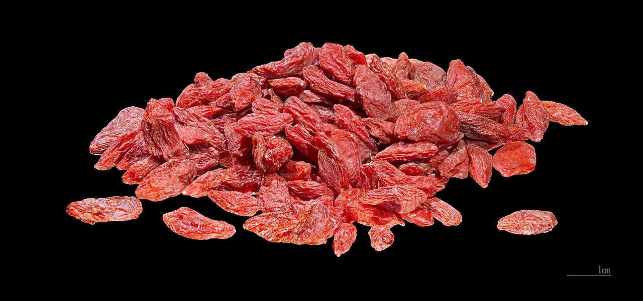 Дереза китайская: посадка и уход