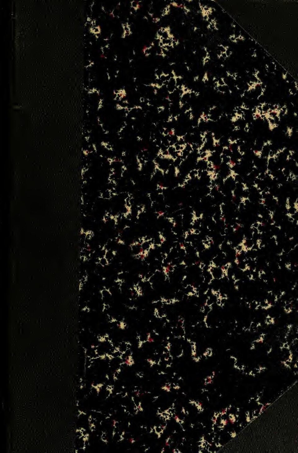 Хоризанте паникулата: выращивание, сбор и применение