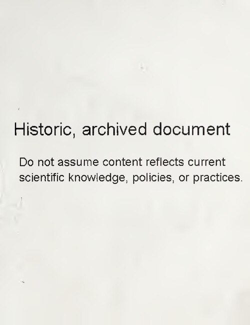 Козелец клубненосный: посадка, уход, размножение